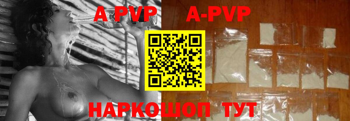A-PVP СК Россошь