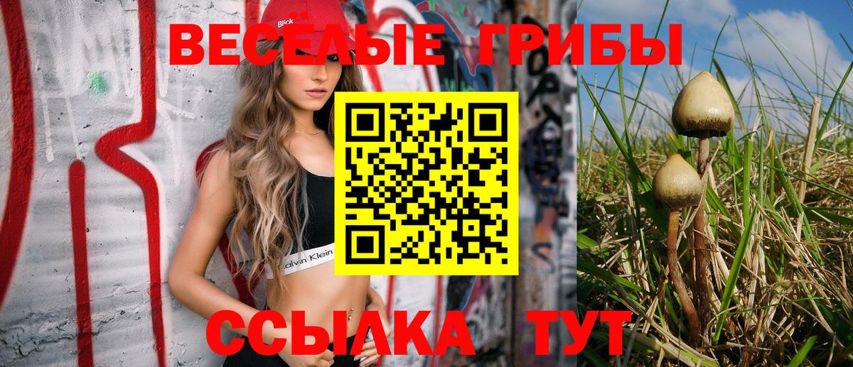 Галлюциногенные грибы прущие грибы Россошь